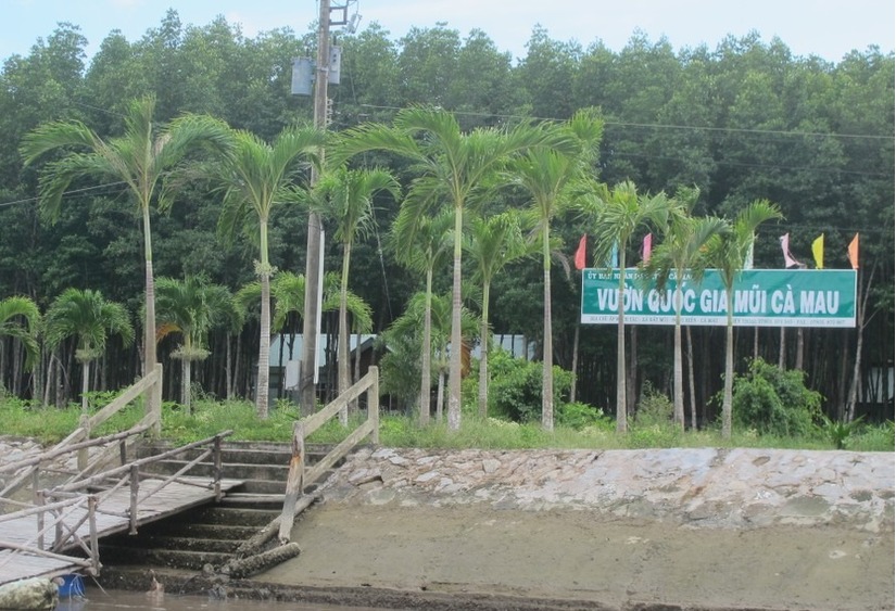 Tham ô tài sản, GĐ Vườn quốc gia Mũi Cà Mau bị bắt tạm giam 