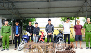 Hà Tĩnh: Bắt giữ ổ nhóm 9 đối tượng gây ra hàng loạt vụ trộm chó 