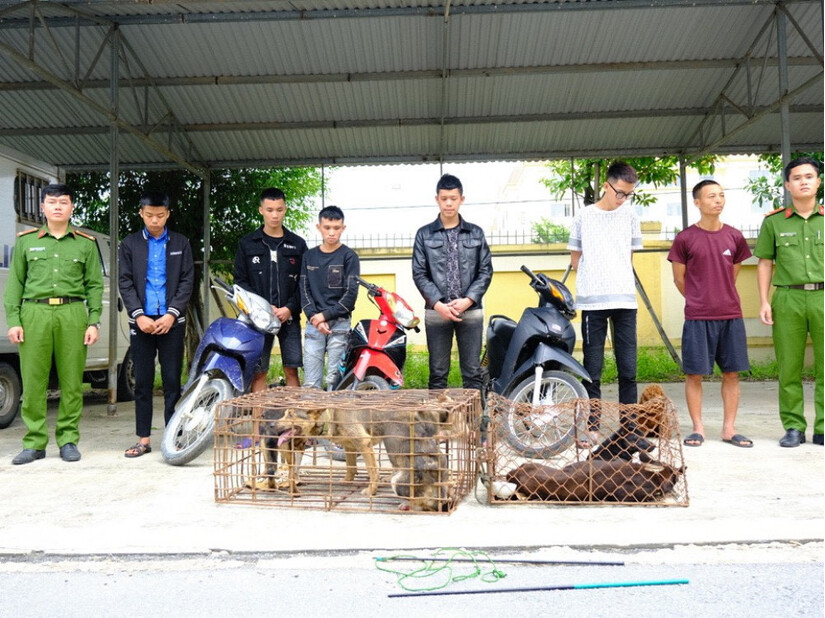Hà Tĩnh: Bắt giữ ổ nhóm 9 đối tượng gây ra hàng loạt vụ trộm chó 