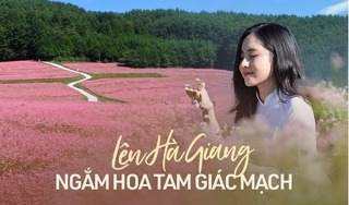 Đến Hà Giang mùa tam giác mạch nhất định phải thử 8 món ngon quên lối về này