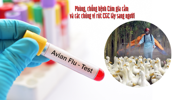 Tình hình sức khỏe hiện tại của bé gái 5 tuổi mắc cúm A(H5) ở Phú Thọ