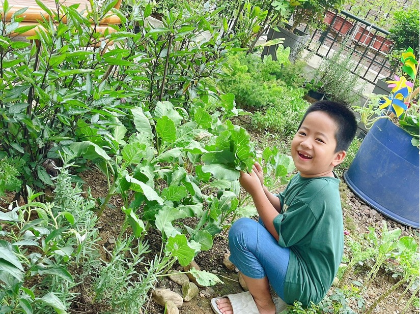 Mãn nhãn với khu vườn trồng rau sạch lơ lửng trên không của bố đảm xứ Huế