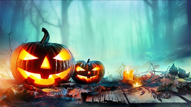 Tổng hợp những STT halloween hay và lời chúc Halloween độc đáo nhất