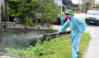 Quảng Nam có số ca mắc sốt xuất huyết cao nhất khu vực miền Trung