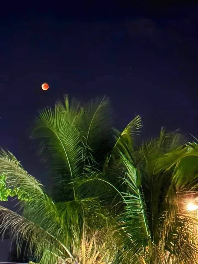 Tối ngày 8/11 nhiều người yêu thiên văn trên thế giới nói chung và Việt Nam nói riêng đã được chiêm ngưỡng hiện tượng thiên văn vô cùng kỳ thú: nguyệt thực toàn phần hay còn gọi là mặt trăng máu.