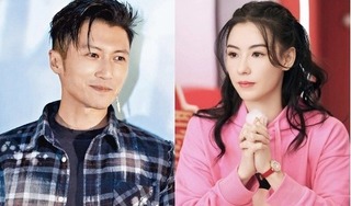 Tạ Đình Phong trả 80 triệu HKD cho vợ cũ Trương Bá Chi mỗi năm