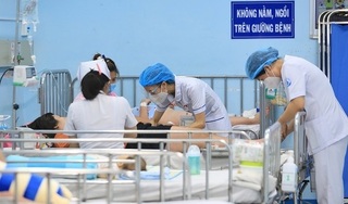 Khánh Hòa ghi nhận 4.203 ca mắc sốt xuất huyết, 239 ổ dịch và 2 ca tử vong