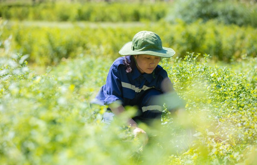 Đạt 3 Cúp vàng sản phẩm hữu cơ: TH đưa nông nghiệp Việt sánh vai các nước