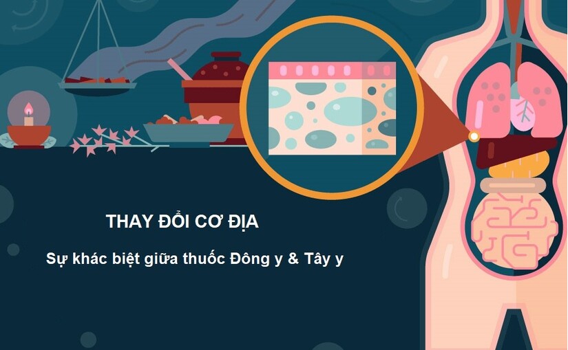 Thay đổi cơ địa