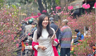Hà Nội tổ chức 91 chợ hoa xuân phục vụ Tết Nguyên đán Quý Mão 2023