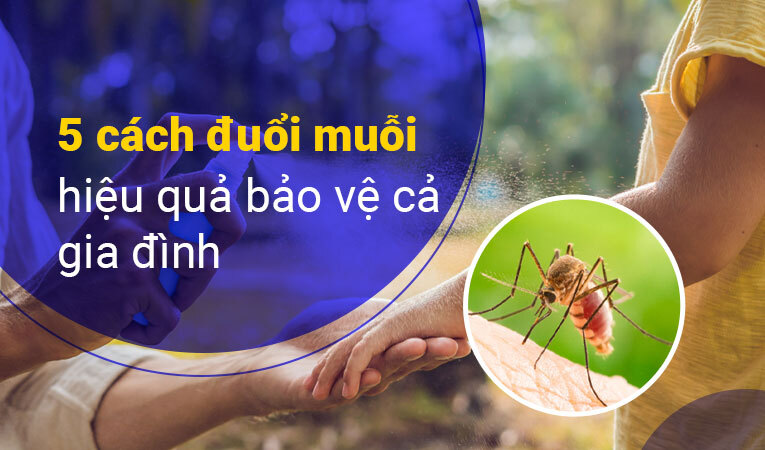 cách đuổi muỗi hiệu quả 