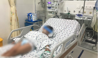 Cứu bé trai 11 tuổi nguy kịch vì sốc sốt xuất huyết dengue