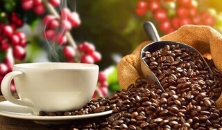 Giá cà phê hôm nay 8/3: Đồng loạt tăng nhẹ 100 đồng/kg