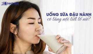 Uống sữa đậu nành có tăng nội tiết nữ?