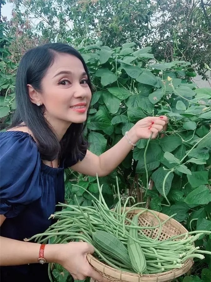 Những sao Việt sở hữu miệt vườn thẳng cánh cò bay khiến ai cũng phải ước ao