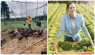 Những sao Việt sở hữu miệt vườn 'thẳng cánh cò bay' khiến ai cũng phải ước ao