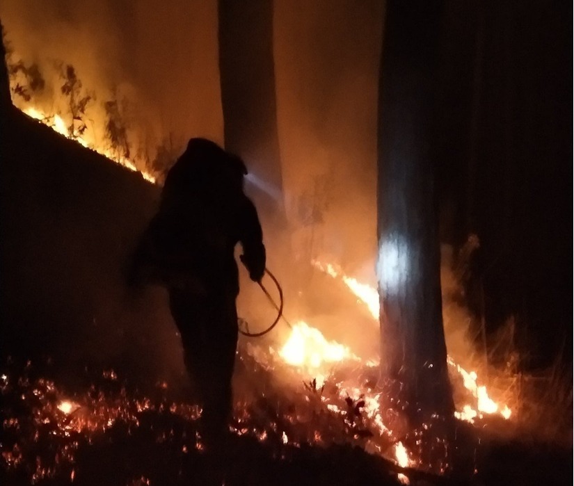 Thông tin mới nhất vụ cháy rừng ở đèo Prenn, Đà Lạt