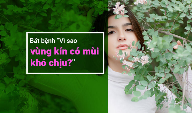 Vùng kín có mùi khó chịu