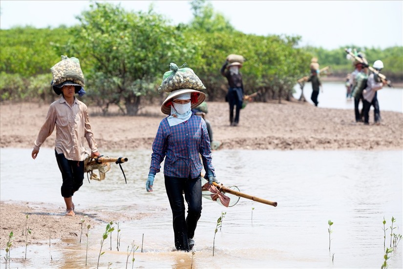 Sở GD&ĐT Hà Nội thông tin về vụ phụ huynh và học sinh tử vong trong chuyến đi trải nghiệm 