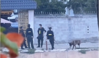 Hàng loạt tố cáo liên quan đến “trùm giang hồ” thành phố Phan Thiết