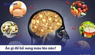 Ăn gì bổ não? 13 Loại thức ăn bổ não giúp tăng cường trí nhớ