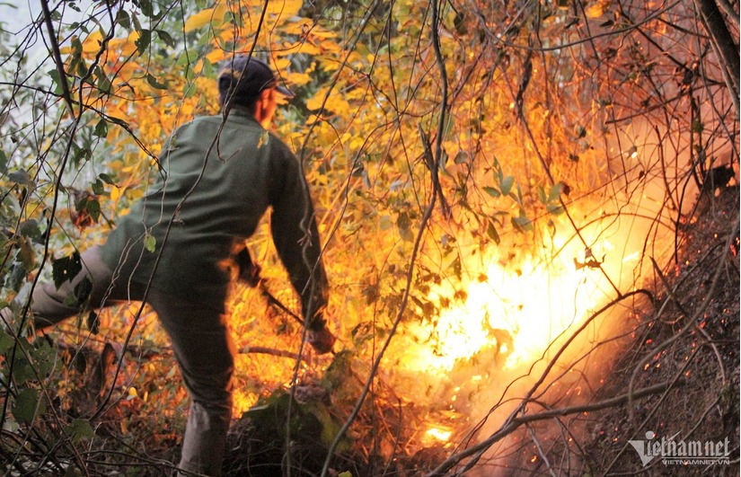 Cháy rừng ở Nghệ An: Hàng trăm người dân trắng đêm dập lửa