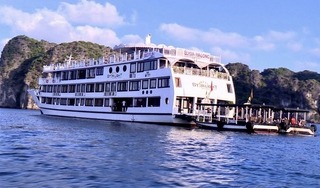Tạm giữ xử lý vi phạm 3 tàu du lịch 5 sao cho khách 'tắm chui' trên vịnh Hạ Long
