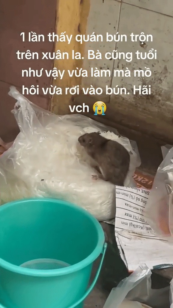Chủ quán ăn tại Hà Nội có con chuột 'chễm chệ' trên túi bún cảm thấy áp lực, mệt mỏi, phải tạm đóng cửa 