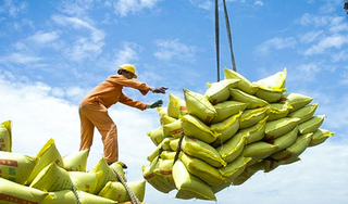 Nhu cầu xuất khẩu gạo tăng, nguồn cung trong nước thế nào?