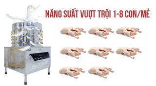 Tư vấn cách chọn mua máy vặt lông gà vịt chất lượng tốt, giá rẻ