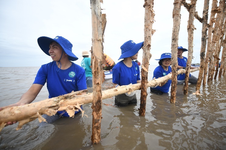 Đẩy mạnh dự án 'Cánh rừng net Zero', Vinamilk khoanh nuôi tái sinh 25ha rừng ngập mặn Cà Mau