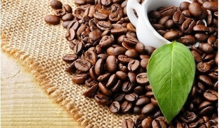 Giá cà phê hôm nay 28/9: Thị trường trong nước tăng 300 đồng/kg
