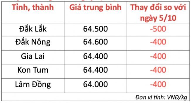 Giá cà phê hôm nay 6/10/2023: Tiếp đà giảm, về mốc 64.000 đồng