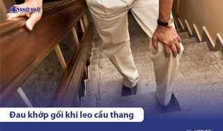 Đau đầu gối khi leo cầu thang là bệnh gì? Điều trị thế nào?