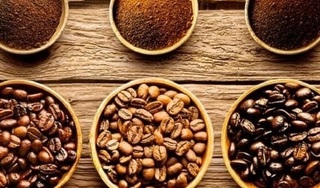 Giá cà phê hôm nay 24/10/2023: Tăng mạnh từ 400 - 1.000 đồng/kg