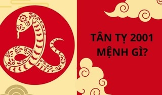 Sinh năm 2001 mệnh gì? tuổi con gì, hợp với công việc nào?