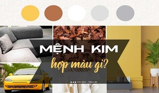 Mệnh kim hợp màu gì và kỵ màu gì? chọn màu gì cho dễ dàng gặp may mắn, phát tài phát lộc?