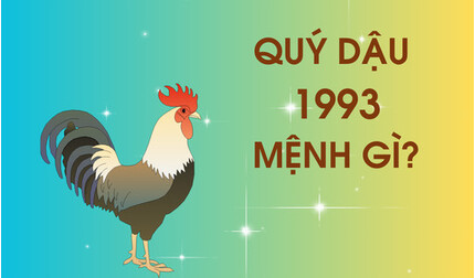 Sinh năm 1993 mệnh gì? Quý Dậu 1993 thuộc cung gì?