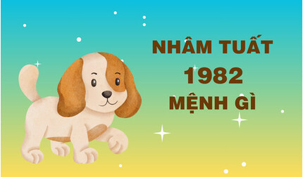 Sinh năm 1982 mệnh gì? Năm tam tai của Nhâm Tuất sinh năm 1982