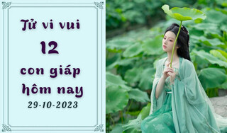 Tử vi vui 12 con giáp ngày 29/10/2023: Thân nở hoa, Thìn thách thức