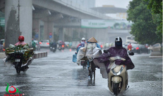 Thời tiết hôm nay 29/10/2023:  Hà Nội có mưa, nền nhiệt giảm, Đà Nẵng và TP HCM ngày nắng