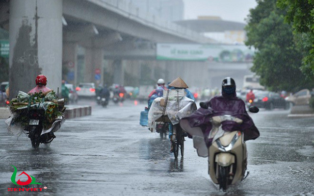 Thời tiết hôm nay 29/10/2023:  Hà Nội có mưa, nền nhiệt giảm, Đà Nẵng và TP HCM ngày nắng