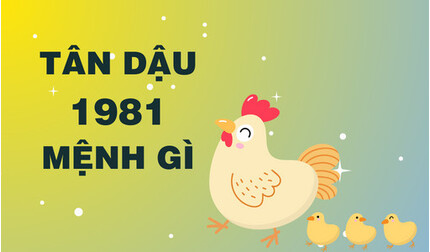 Sinh năm 1981 mệnh gì? Năm tam tai của Tân Dậu sinh năm 1981?