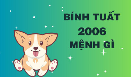 Sinh năm 2006 mệnh gì? Năm tam tai của Bính Tuất sinh năm 2006?