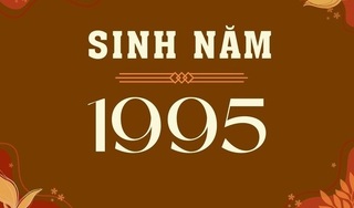 Người sinh năm 1995 tuổi con gì? mệnh gì? hợp tác với tuổi nào thì sự nghiệp phát triển?