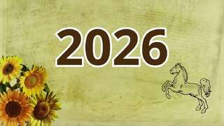 Sinh năm 2026 mệnh gì? Năm tam tai của Bính Ngọ sinh năm 2026?