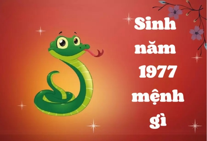 Sinh năm 1977  mệnh gì, tuổi con gì, hợp tác làm ăn với tuổi nào dễ giàu có?