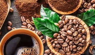 Giá cà phê hôm nay 1/11/2023: Robusta tăng mạnh; trong nước ổn định