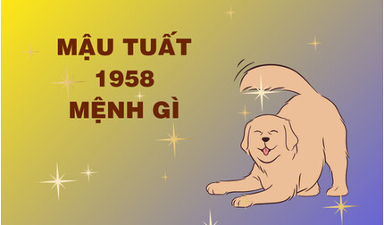 Sinh năm 1958 mệnh gì? Tuổi Mậu Tuất hợp màu gì? Hợp tuổi nào?