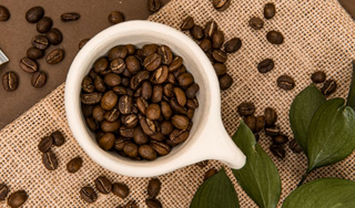 Giá cà phê hôm nay 6/11/2023: Đầu tuần giảm nhẹ; giá 57.100 - 58.100 đồng/kg